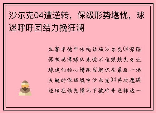 沙尔克04遭逆转，保级形势堪忧，球迷呼吁团结力挽狂澜